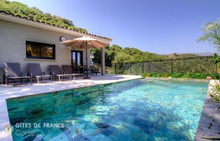 Gite à Vallecalle, Grand-Bastia, Haute-Corse, labellisé Gites de France : la piscine Gite n°64481 Vallecalle - Corse - Gite à Vallecalle, Grand-Bastia, Haute-Corse, labellisé Gites de France : la piscine