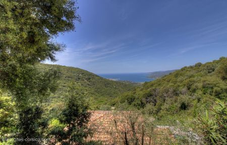 Gite n&deg;25591 Viggianello - Corse - G&icirc;te &agrave; Viggianello, le grand Valinco, en Corse du sud, labellis&eacute; G&icirc;tes de France : la vue
