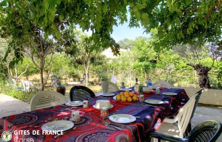 Gîte à Lucciana, Grand Bastia, Haute-Corse, labellisé Gîtes de France : le jardin Gite n°55742 Lucciana - Corse - Gîte à Lucciana, Grand Bastia, Haute-Corse, labellisé Gîtes de France : le jardin