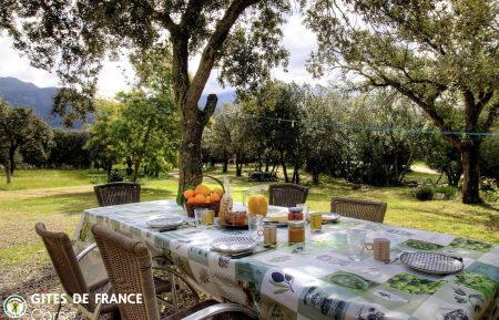 Gite n&deg;57083 Lumio - Corse - G&icirc;te &agrave; Lumio, Balagne, Haute-Corse, labellis&eacute; G&icirc;tes de France : la terrasse
