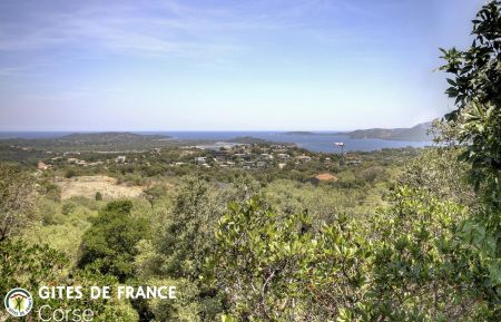 Gite n&deg;28903 Porto-Vecchio - Corse - Gite &agrave; Porto-Vecchio, le Sud Corse, labellis&eacute; G&icirc;tes de France : la vue depuis le gite et la terrasse