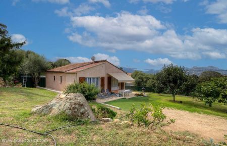 Gite n&deg;57181 Lumio - Corse - photo