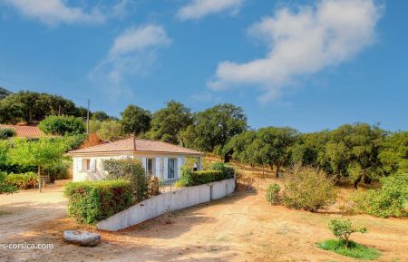 Gite n&deg;19442 Sollacaro - Corse - G&icirc;te &agrave; Sollacaro en Corse du Sud :  le g&icirc;te