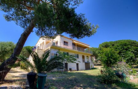 Gite n&deg;57473 Calvi - Corse - G&icirc;te &agrave; Calvi, Balagne, Haute-Corse, labellis&eacute; G&icirc;tes de France : la maison
