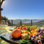 G&icirc;te-28541-Olmeto- le -grand-valinco-la terrasse