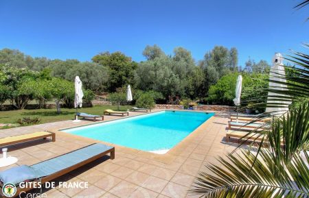 Gite n°27991 Porto-Vecchio - Corse - photo