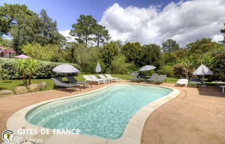 Gîte à Porto-Vecchio, le sud Corse, labellisé Gîtes de France : la piscine Gite n°23022 Porto-Vecchio - Corse - Gîte à Porto-Vecchio, le sud Corse, labellisé Gîtes de France : la piscine