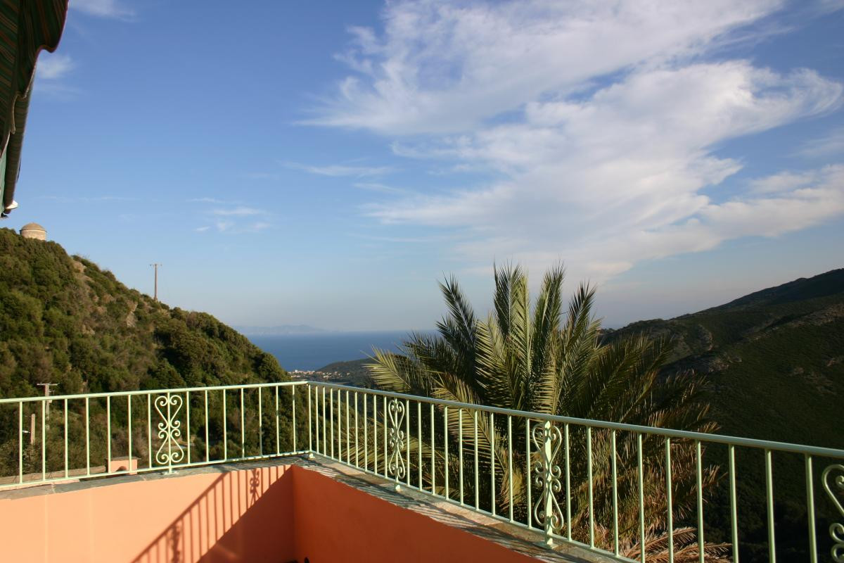 photo 0