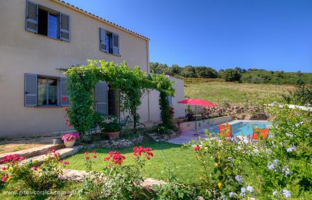 Bed & Breakfast no.62531 Galéria - Corse - photo