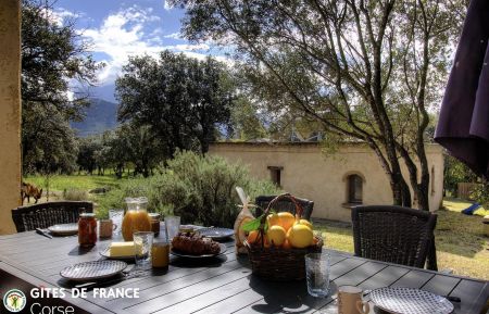 Gite n&deg;57082 Lumio - Corse - G&icirc;te &agrave; Lumio, Balagne, Haute-Corse, labellis&eacute; G&icirc;tes de France : la terrasse