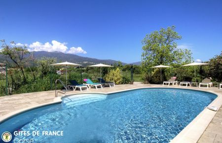 Gite à Lucciana, Grand Bastia, Haute-Corse, labellisé Gites de France: la piscine commune Gite n°56572 Lucciana - Corse - Gite à Lucciana, Grand Bastia, Haute-Corse, labellisé Gites de France: la piscine commune