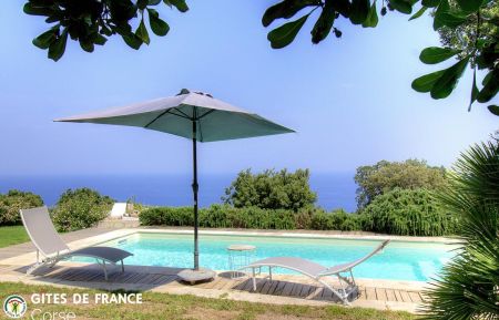 Bed & Breakfast no.57251 Brando - Corse - Maison d'h&ocirc;tes &agrave; Brando, Grand Bastia, Haute-Corse, labellis&eacute;e G&icirc;tes de France Corse : la piscine