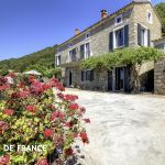 Gite &agrave; Sollacaro, Le Grand Valinco, Corse du Sud, labellis&eacute; G&icirc;tes de France :  la terrasse