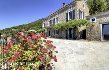 Gite n&deg;28581 Sollacaro - Corse - Gite &agrave; Sollacaro, Le Grand Valinco, Corse du Sud, labellis&eacute; G&icirc;tes de France :  la terrasse