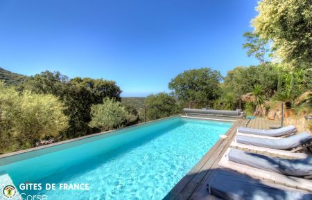 Gite n&deg;61431 Santa-Reparata-di-Balagna - Corse - G&icirc;te &agrave; Santa Reparata di Balagna, Balagne, Haute-Corse, labellis&eacute; G&icirc;tes de France : terrasse et piscine