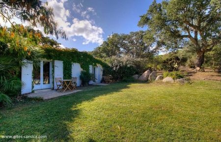 Bed & Breakfast no.14721 Pianottoli-Caldarello - Corse - photo