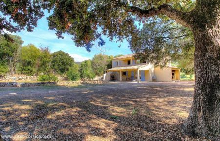 Gite n&deg;22463 Sart&egrave;ne - Corse - photo