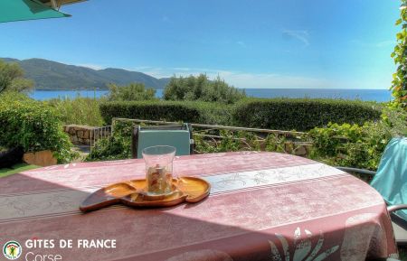 Gîte à Tiuccia, la côte Ouest, Corse-du-Sud, labellisé Gîtes de France : la terrasse Gite n°21702 Tiuccia - Corse - Gîte à Tiuccia, la côte Ouest, Corse-du-Sud, labellisé Gîtes de France : la terrasse